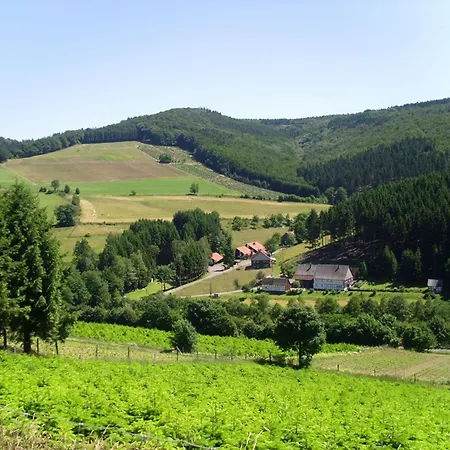 Mit Herrlicher Aussicht Casa vacanze *